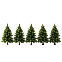 Obraz premium Lush Green Pine Trees in a Natural Forest Setting Perfect for Holiday Decorations and Scenes