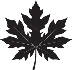 Naklejka premium Papaya Leaf Vector Format – Black Exotic Foliage Silhouette Art
