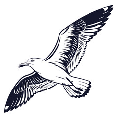 Flying seagull with dark wings bird