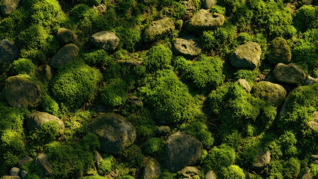 Close up view of green moss and various sized gray rocks creating a natural textured background