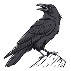 Black crow perched on wood raven bird