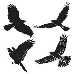 Four black falcon silhouettes in flight hawk bird