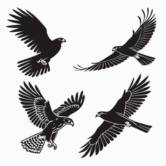 Four black falcon silhouettes in flight hawk bird
