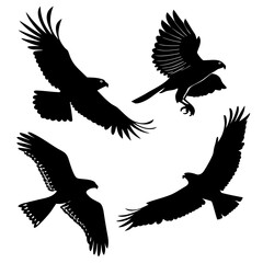 Four black falcon silhouettes in flight hawk bird