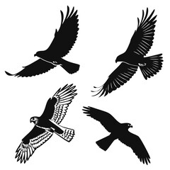 Four falcon silhouettes in flight hawk bird
