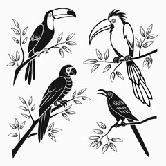 Toucan parrot and other birds perched on branches tropical