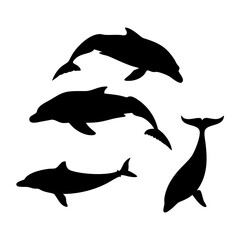 Whale and Dolphin Silhouettes marine life ocean
