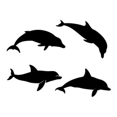 Diverse whale and dolphin silhouettes marine life ocean