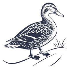 Detailed dark blue duck standing on grassy mound waterfowl bird