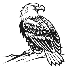 Majestic eagle perched on branch black and white illustration bird wildlife