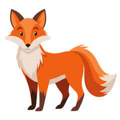 Orange fox with white fur and brown accents animal wildlife