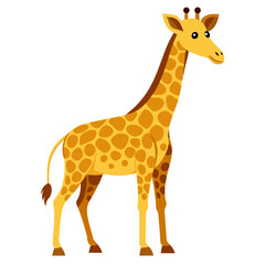 Obraz premium Yellow giraffe with brown spots standing on white background animal wildlife