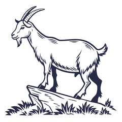 Majestic goat standing on rocky outcrop with grass animal mammal