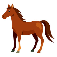 Brown horse with dark mane and tail standing on white background animal mammal