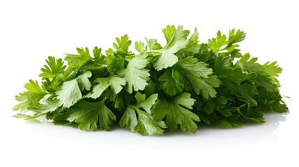 Obraz premium Fresh parsley bunch on white