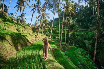 Fototapeten Bali Young woman traveler wearing hat walking through picturesque green rice terraces in Ubud, Bali island, traveling to famous beautiful destinations  © Goffkein