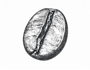 Detailed Graphic Coffee Bean Illustration