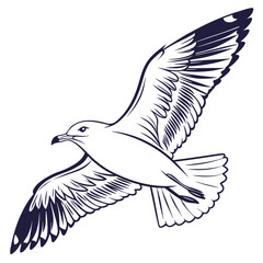 Obraz premium Flying seabird with dark blue outline and feather details seagull wings