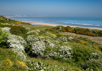 Clifftop view of Reighton Sands in late spring