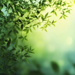 Lush Green Leafy Background with Soft Focus for Design and Art