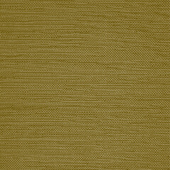 Woven olive canvas fabric with detailed thread pattern and natural texture