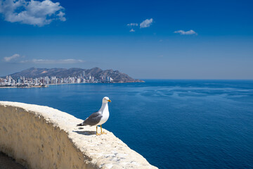 View of Benidorm from the Tossal de la Cala
