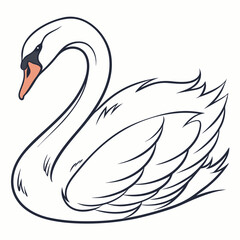 Elegant white swan with dark outline bird water bird
