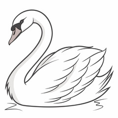 Elegant white swan swimming gracefully bird water