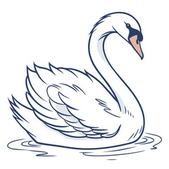 Elegant white swan swimming on water bird