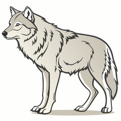 Gray wolf standing profile canine animal