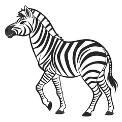 Black and white zebra walking animal wildlife