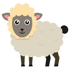 Fluffy sheep with big eyes and curly wool animal farm