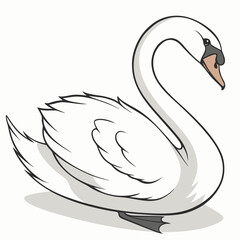 Obraz premium Elegant white swan resting gracefully bird waterbird