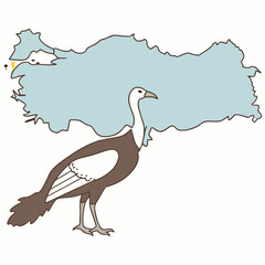Cartoon turkey bird with map outline animal