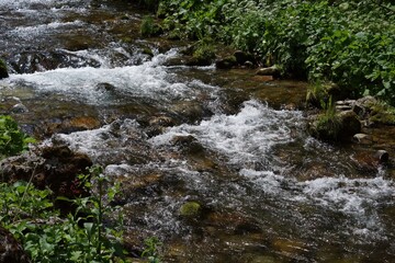 A turbulent mountain stream on a sunny day. Light can be seen reflecting off the water