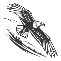 Majestic eagle soaring with sharp details bird flight