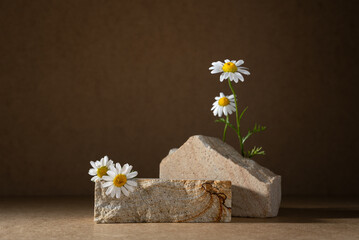 Natural Stone Podium with Chamomile Flowers â€“ Minimalist Mockup for Skincare Product Display