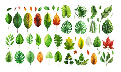 Series of different 3d style vector design leaves