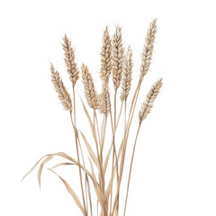 Golden wheat stalks against black grain