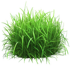Lush green grass clump isolated blades nature