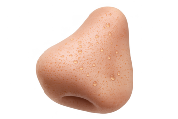 Close-up of a human nose with water droplets isolated on transparent background