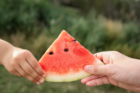 Two hands holding a watermelon slice together, sharing and summer bonding outdoors. High quality photo - Powered by Adobe