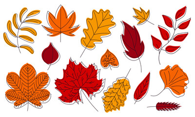 Obraz premium A set of autumn leaves. Autumn leaves of maple, chestnut, oak, linden, ash trees