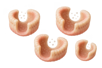 Human villi-like organic shapes, 3D, isolated on transparent background.