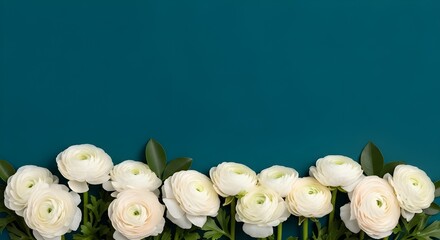 Fresh White Peonies Floral Bottom Border - Teal Background, Serene Bloom Arrangement, Clean Botanical Design, Tranquil Flower Decor, Modern Backdrop
