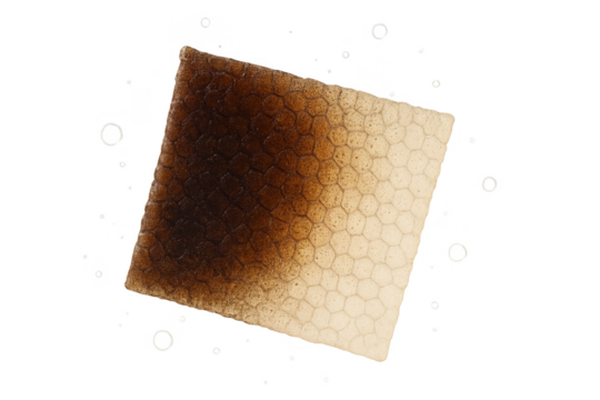 Abstract cellular structure gradient, isolated on transparent background.