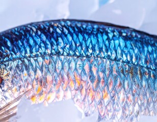 Close Up Fish Scales Colorful Pattern