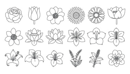 Collection of simple black and white line art flower vector illustrations.