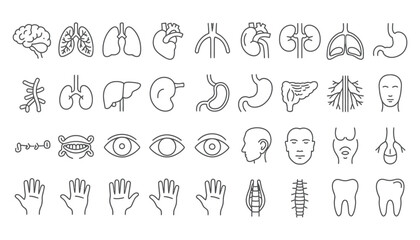 Collection of human anatomy icons representing various organs and body parts.