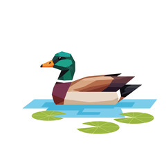 Geometric Duck Swimming on Water with Lily Pads